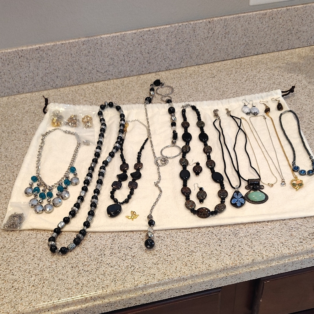 Elegant Black and Silver Necklace